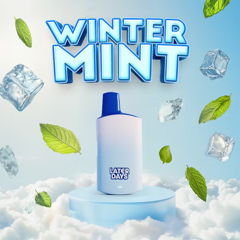 Photograph of product: Winter Mint | Disposable