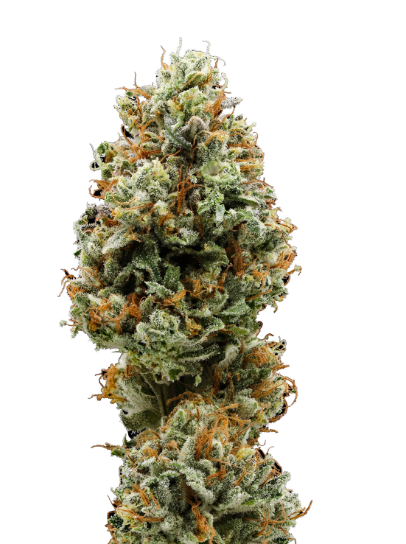 Photograph of product: 710 Labs Z Cubed #5 - 3.5g