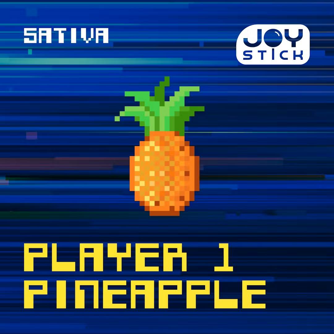 Photograph of product: Joystick - 1g CART - Mega Melon