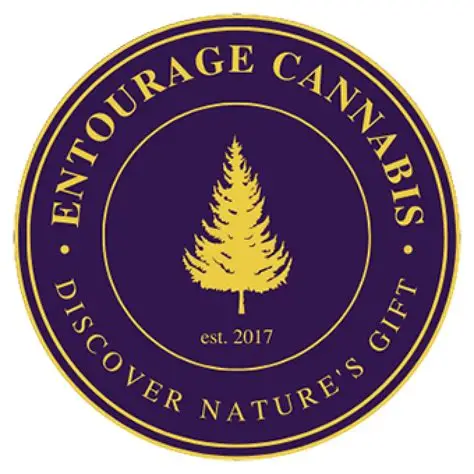 Photograph of product: Entourage Gas Face #1 x Petrol Punch Infused Pre-Roll 0.75g