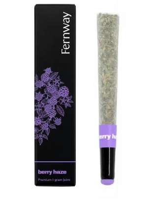 Photograph of product: Fernway 1pk/1g- Berry Haze