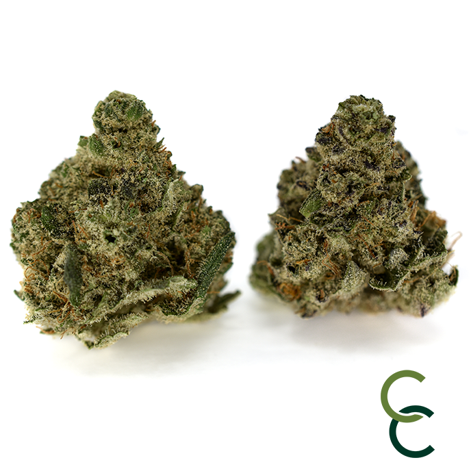 Photograph of product: Dutch Treat x Cherry Pie - 14g