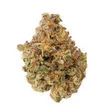 Photograph of product: OZ - Garlicane - (Oui'd Hybrid) - 26.4% TH-oui (+/- 10%) - Distro 10 - 9240 - 28g