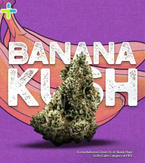 Photograph of product: Banana Kush | Oui'd | [5.66g]
