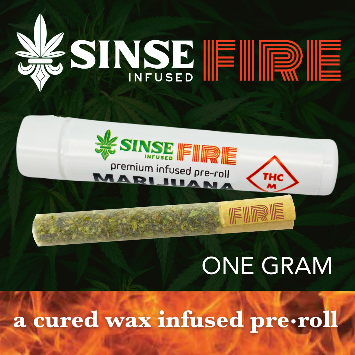 Photograph of product: Frosted Cooler x Ghost Train Haze Wax Infused Preroll