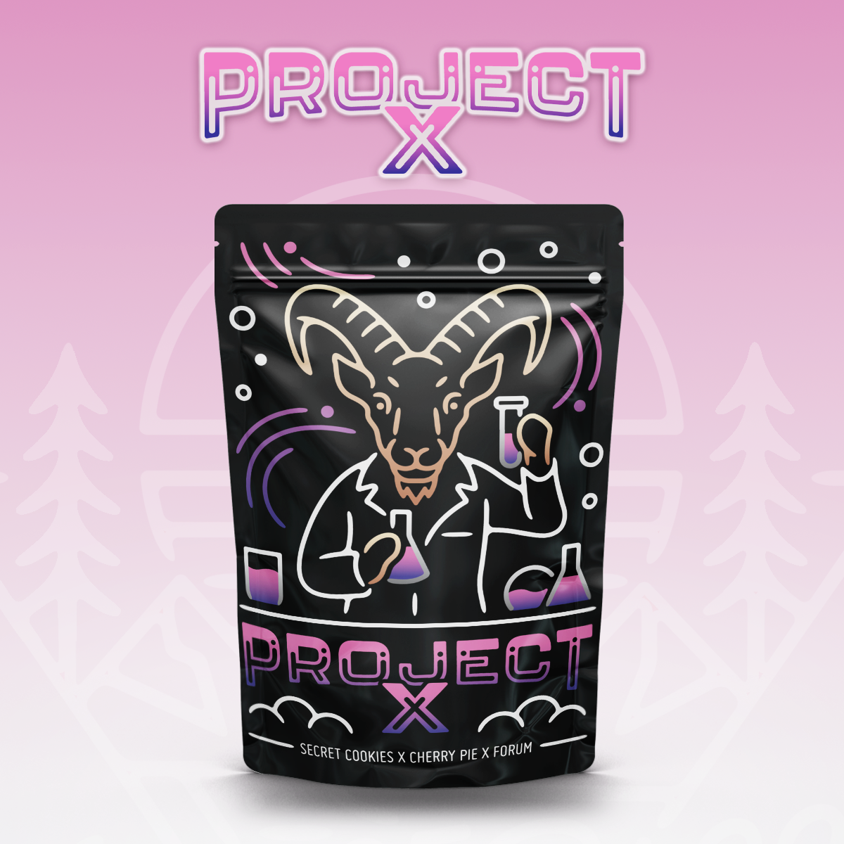 Photograph of product: Voyage Bloom | Project X Buds Prepacked - 3.5g