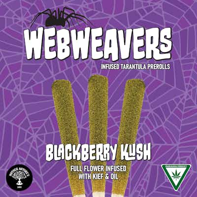 Photograph of product: Infused Tarantula Preroll - 1g - Webweavers - Blackberry Kush