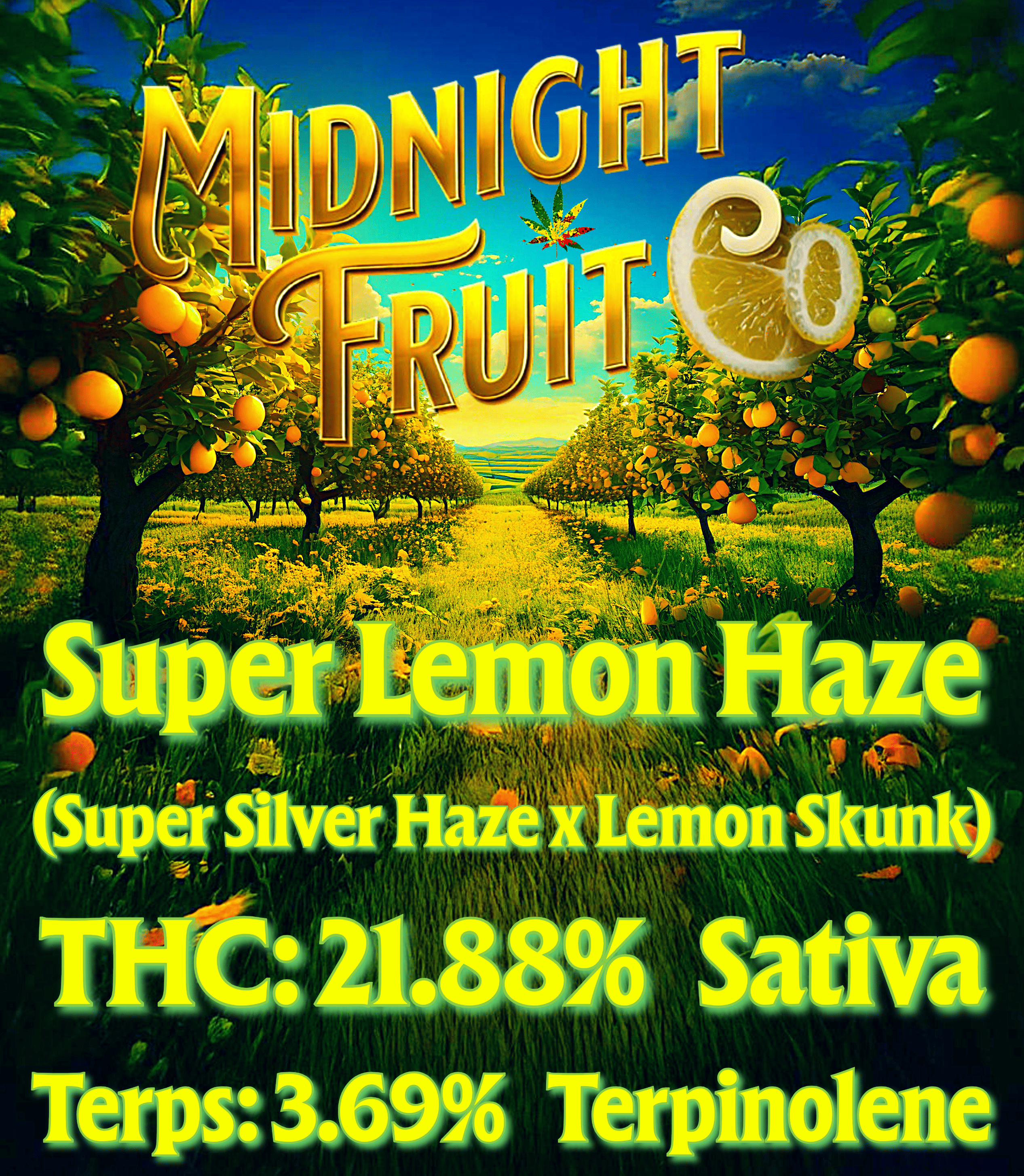 Photograph of product: Super Lemon Haze (Midnight Fruit Company) - Deli - 28g