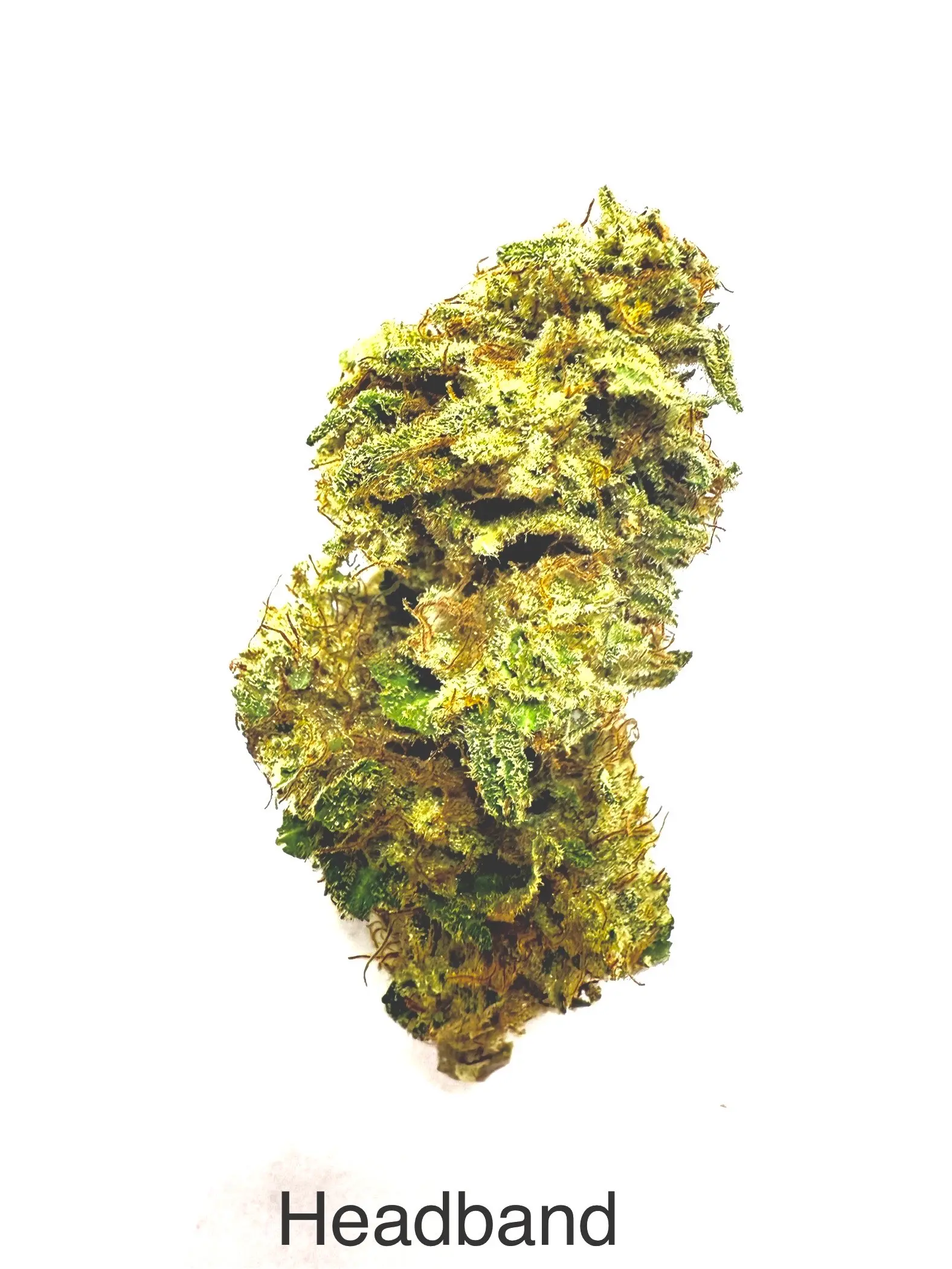 Photograph of product: WAVY | Headband | Sun Grown Flower | 3.5g | (H)