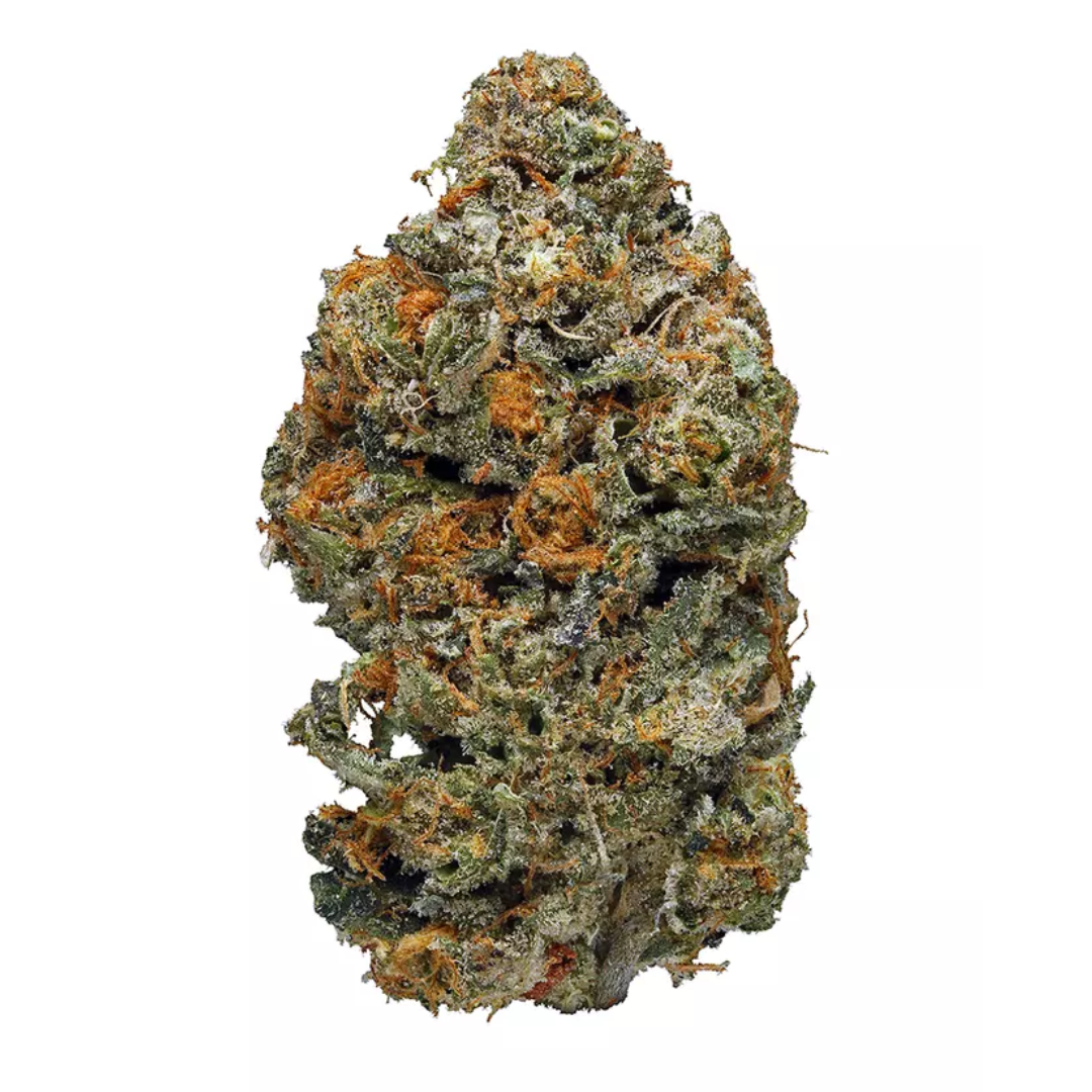 Photograph of product: Elysium | Mendocino Flower | Bulk/Deli - 28g
