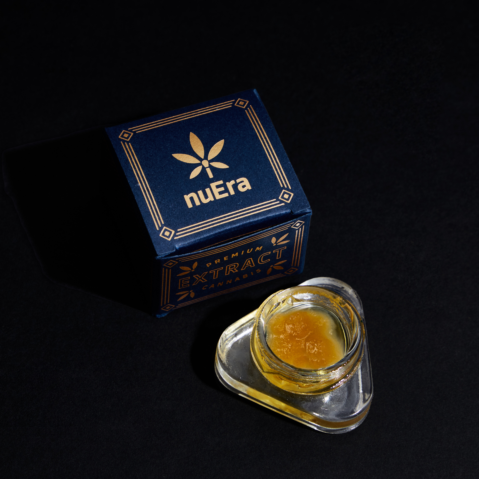 Photograph of product: Live Blueberry Pancakes Resin 2.5g