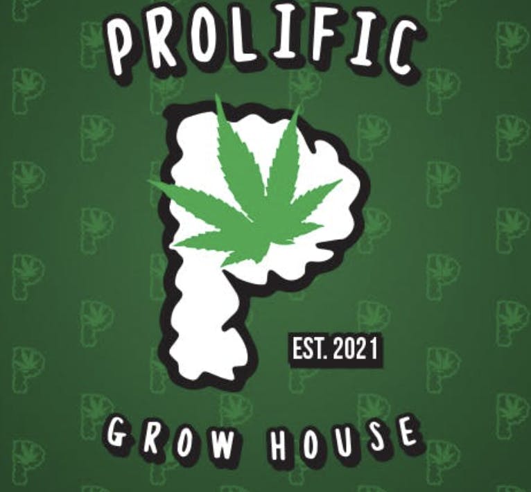Photograph of product: Prolific: Grease Monkey (SMALL BATCH) - 3.5g (oui'd)