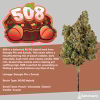 Photograph of product: 508 | Flower | 3.5g