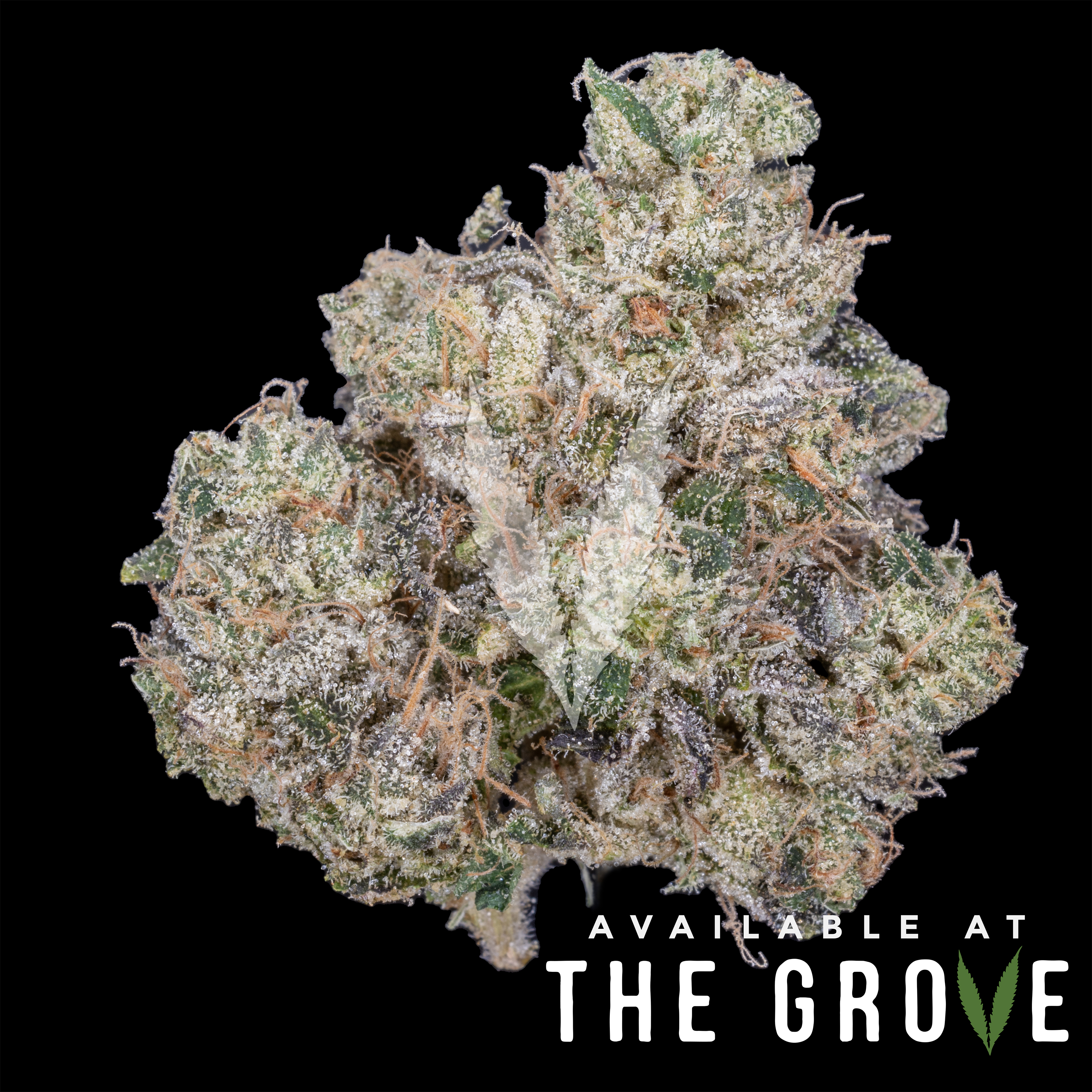 Photograph of product: CBX | Jet Lag OG - 3.5g