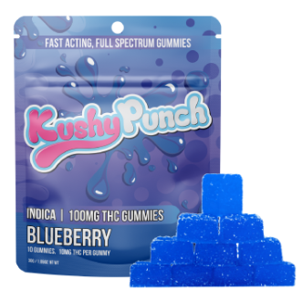 Photograph of product: Blueberry | Gummies | 10pk 100mg
