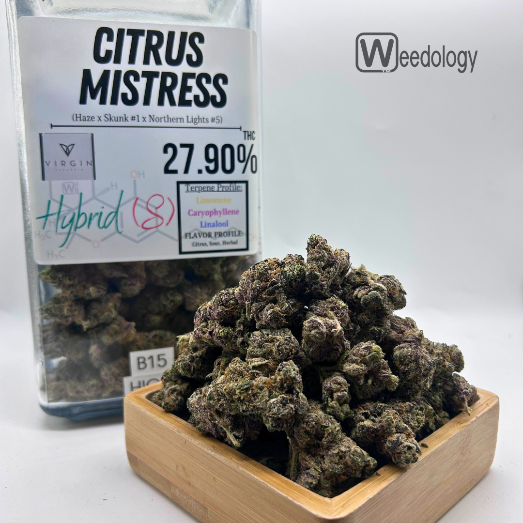 Photograph of product: Citrus Mistress (S-H) - 28g