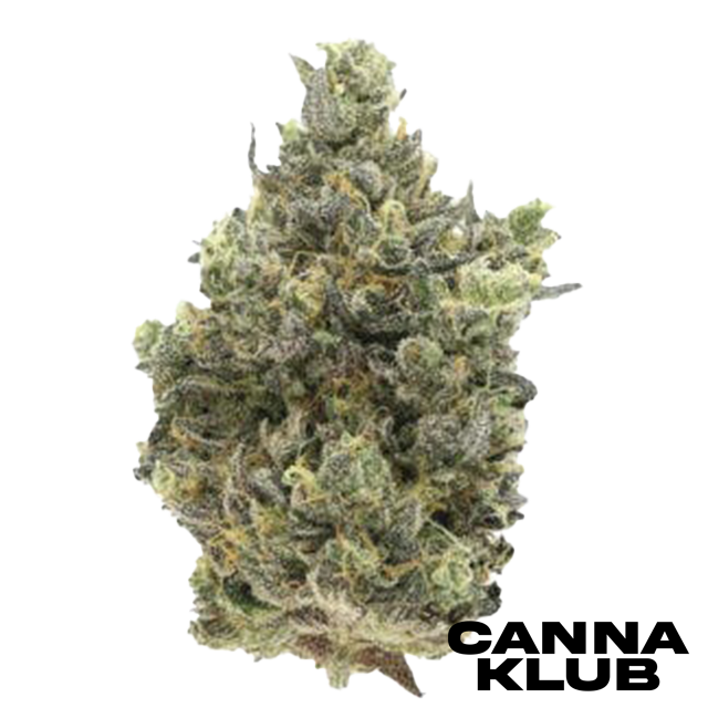 Photograph of product: SOUR TAFFY #34 14G