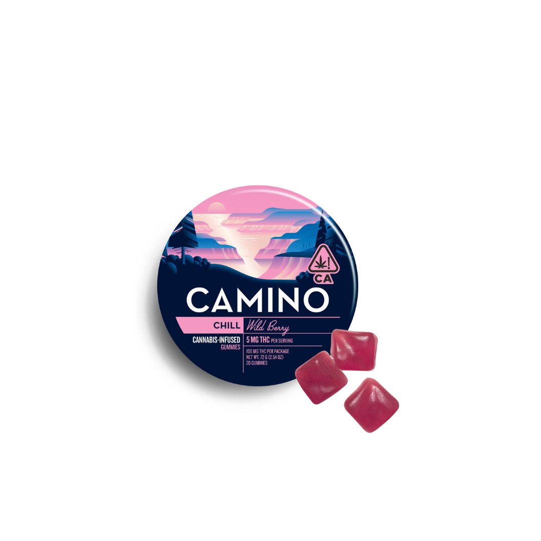 Photograph of product: Kiva Camino Wild Berry 100mg