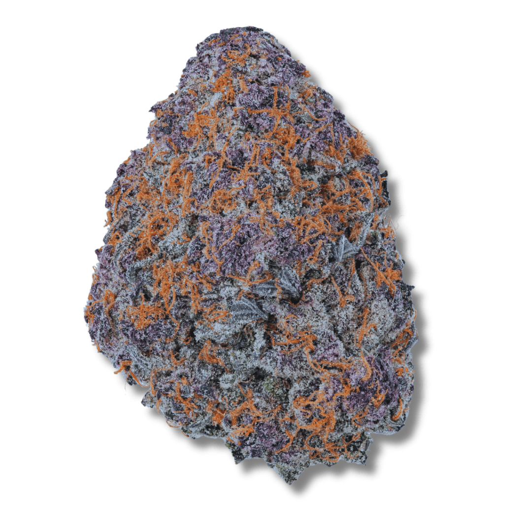 Photograph of product: Coastal Healing | Raspberry Sunset | 3.5g
