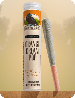 Photograph of product: Ravens View Genetics | Preroll | Orange Cream Pop