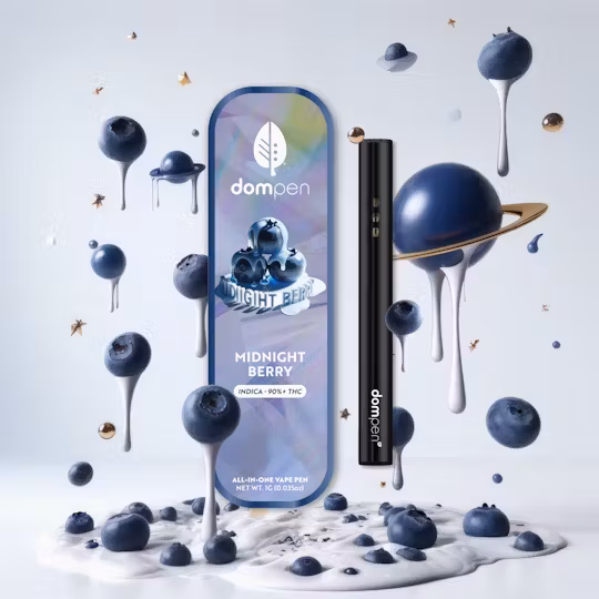 Photograph of product: Disposable Dompen: Midnight Berry