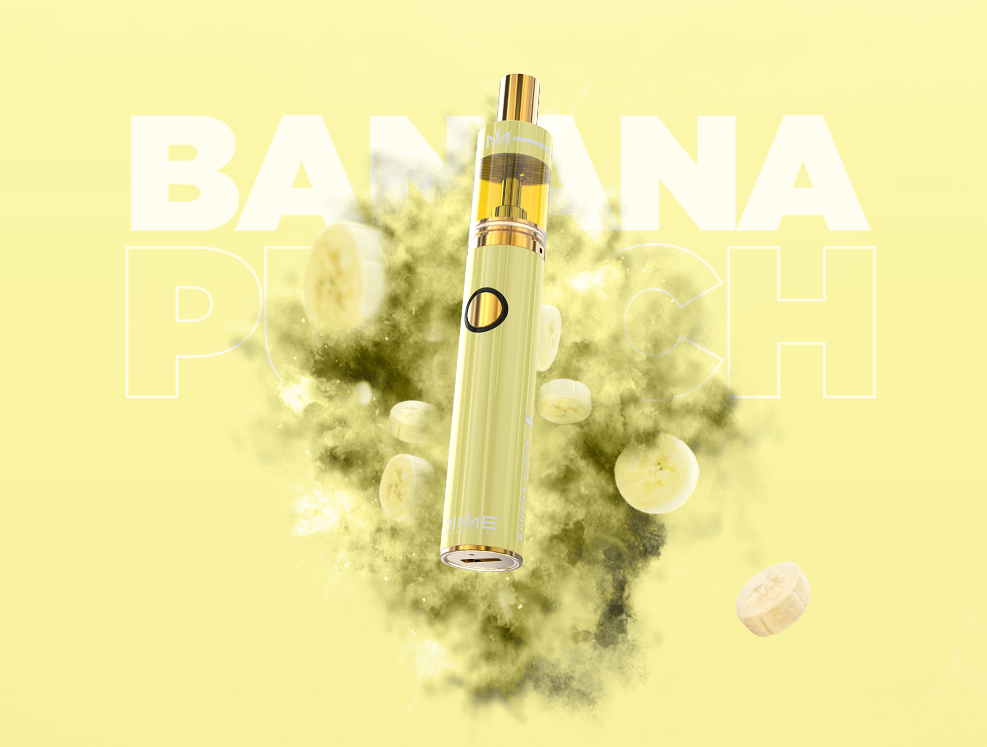 Photograph of product: DIME | Banana Punch | 2g Disposable
