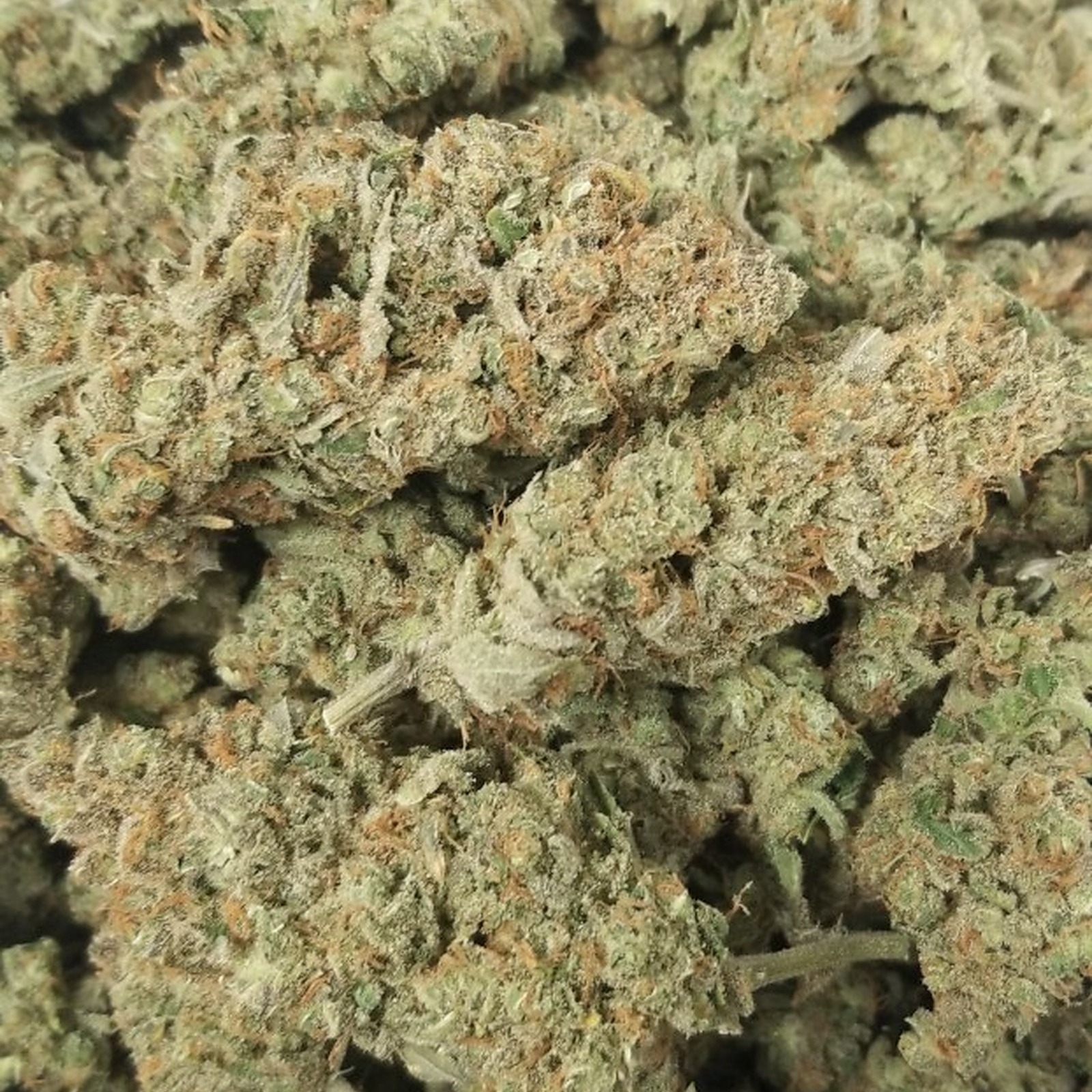 Photograph of product: Lemon Diesel