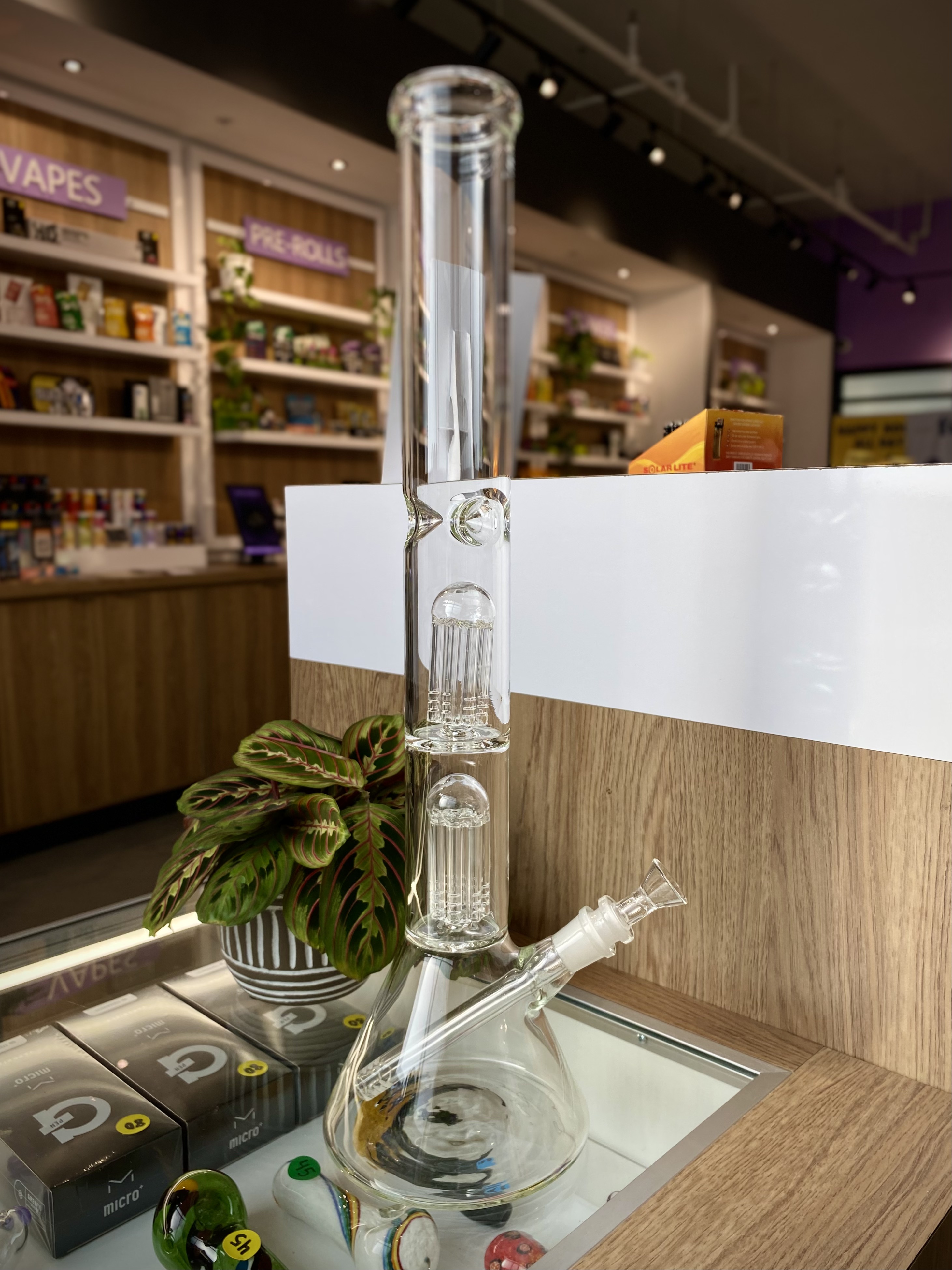 Photograph of product: XL Bong