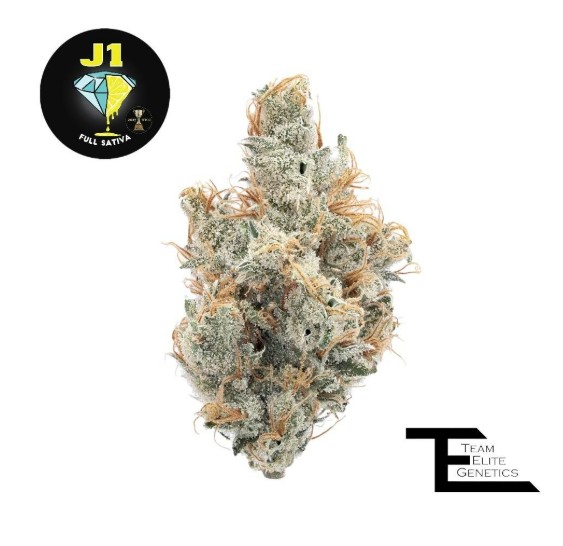 Photograph of product: J1 - 3.5G