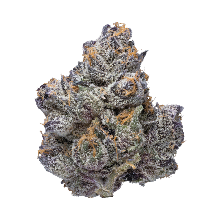 Photograph of product: Higher Love Sherb Banger Buds - 28g