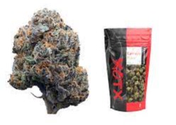 Photograph of Product: XOTX - 14g Black Lemon Cherry Gelato