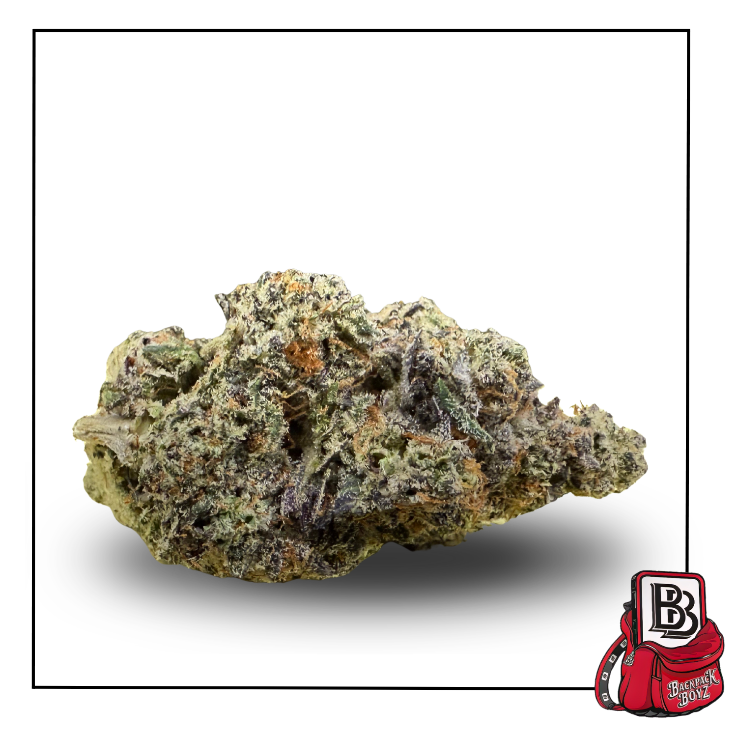 Photograph of product: GB Trix x Sherb - Bulk Flower - 28g
