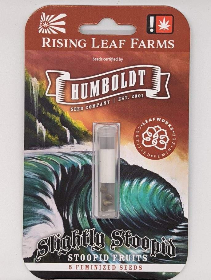 Photograph of product: Humboldt Feminized Slightly Stoopid  Stoopid Fruits 5 Pack Seeds
