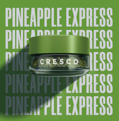 Photograph of product: Flower | Refresh | Pineapple Express - 3.5g