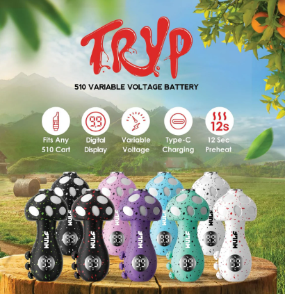 Photograph of product: Mushroom Tryp 510  Battery