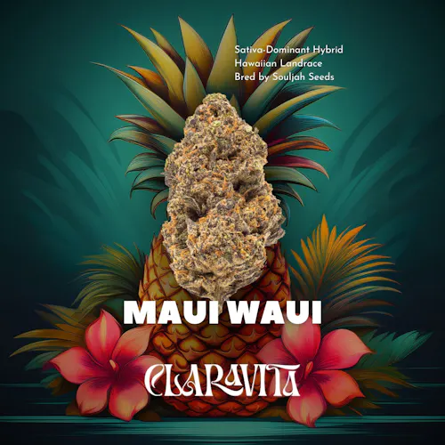 Photograph of product: Maui Waui - Buds 3.5g