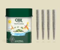 Photograph of product: [Cannabiotix] Preroll 4 Pack - 2G - Tropicanna (S) - 