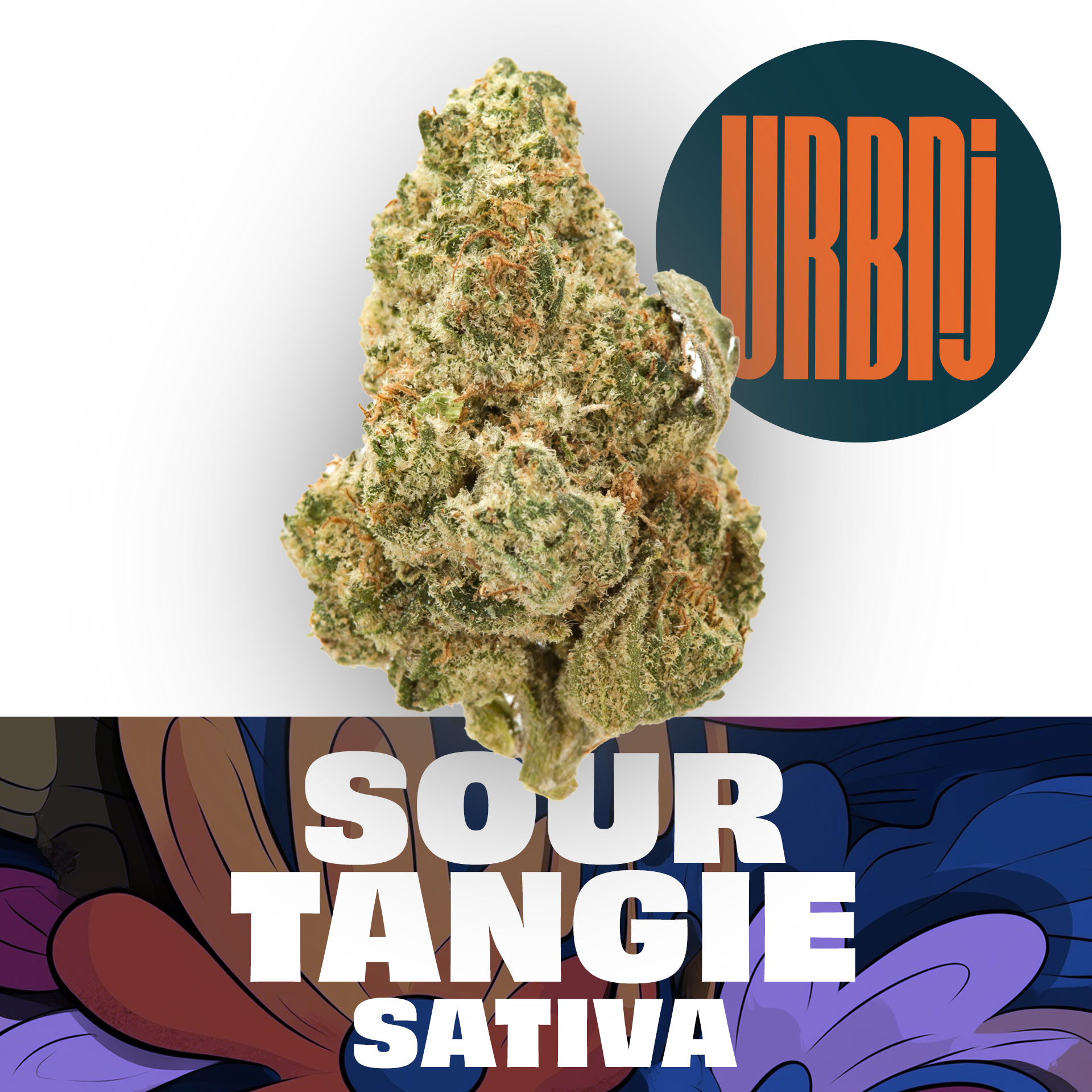 Photograph of product: Sour Tangie - 1g