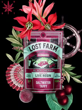 Photograph of product: Lost Farms | 10mg 10pk Gummies | Black Cherry