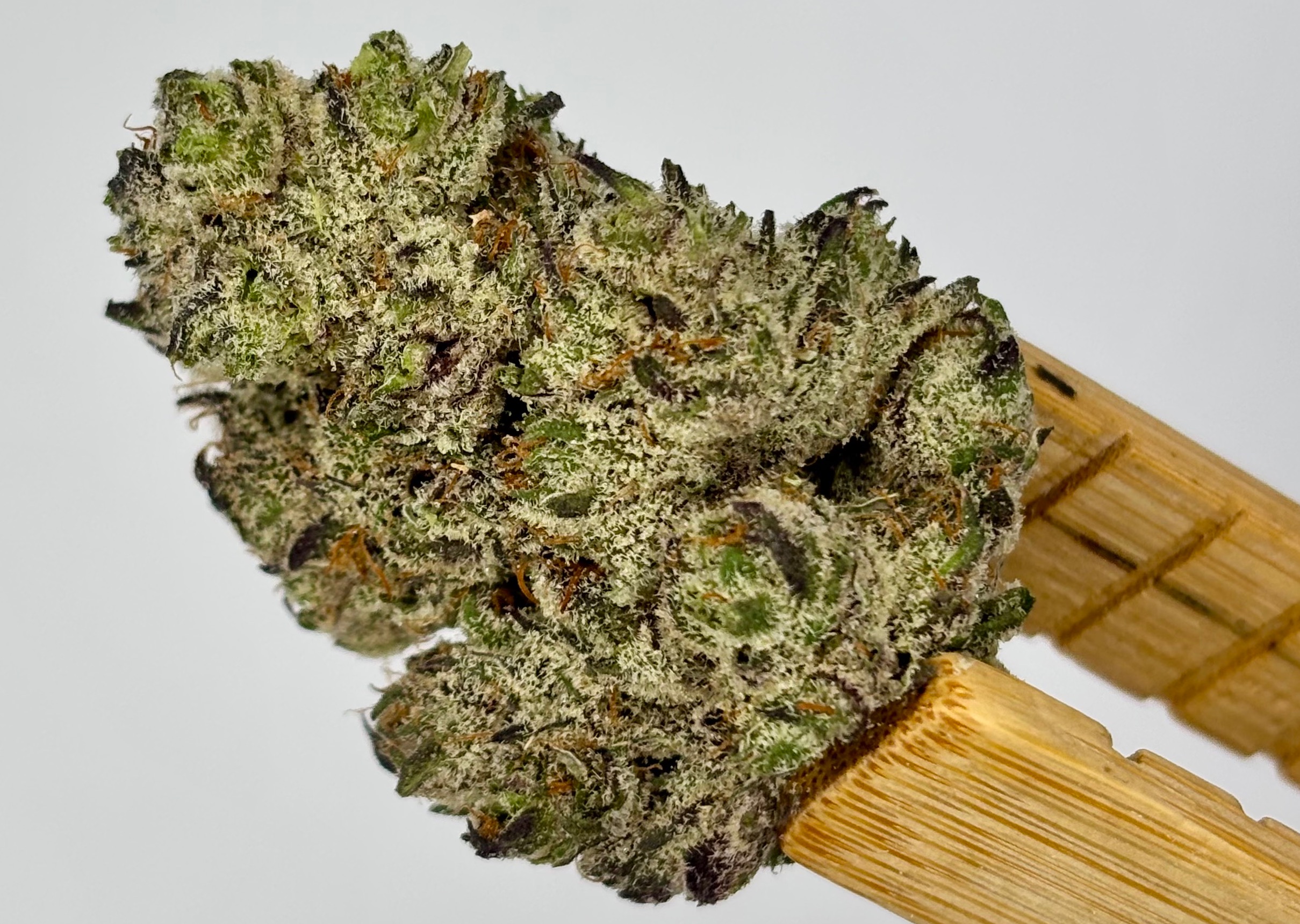 Photograph of product: DogHouse Farms | Salty Pickle | Bulk Flower | Platinum Tier - 28g
