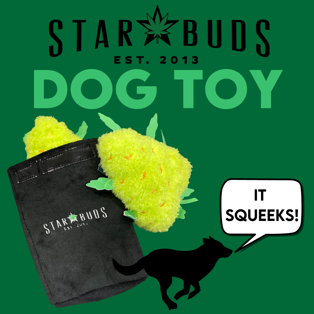 Photograph of product: Star Buds | Plush Dog Toy