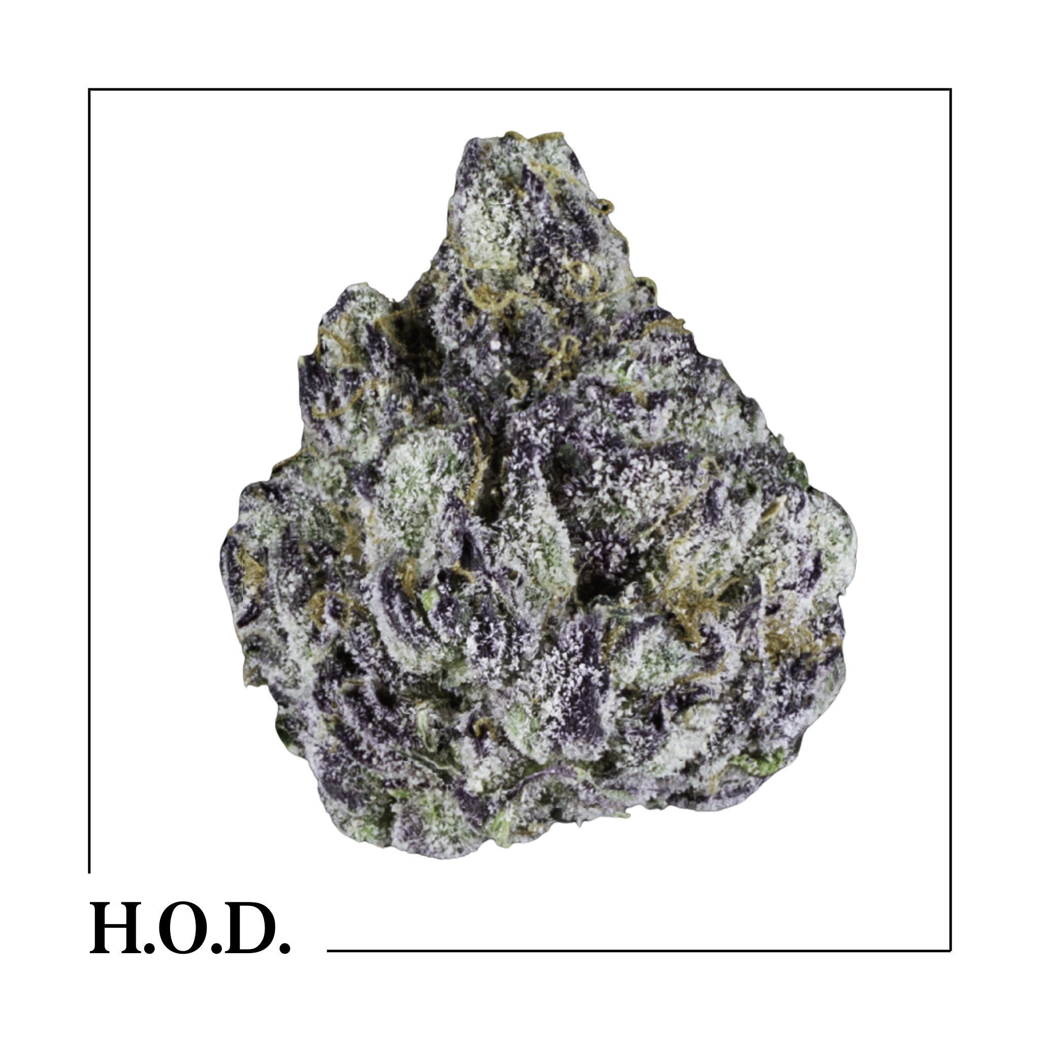 Photograph of product: Hytek Runtz - 1g