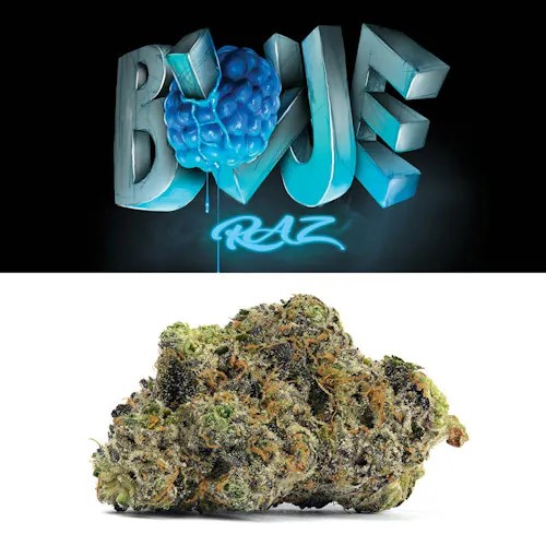 Photograph of product: Cookies Pre-Pack - Blue Raz - 3.5g