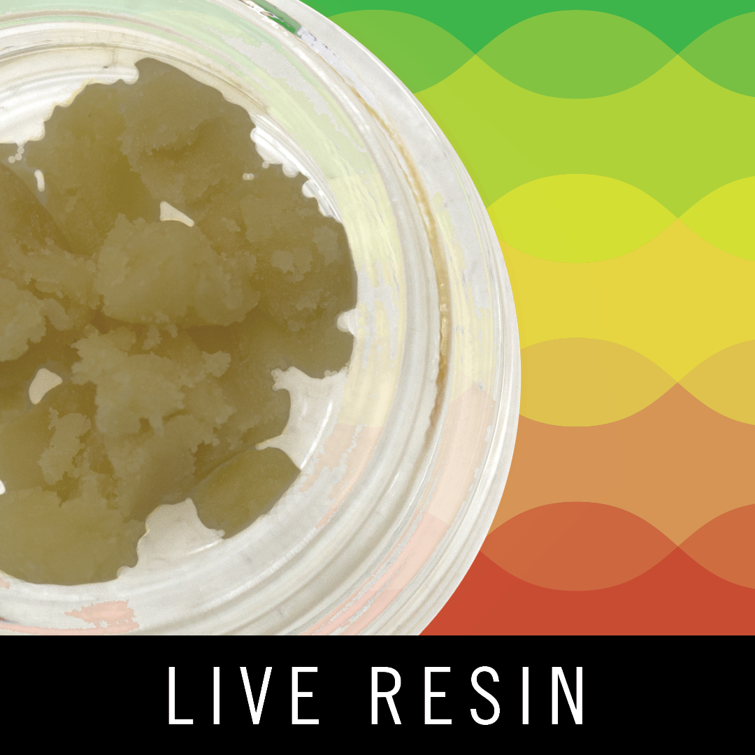 Photograph of product: Levitate - Live Resin - Purple Panties - 1g