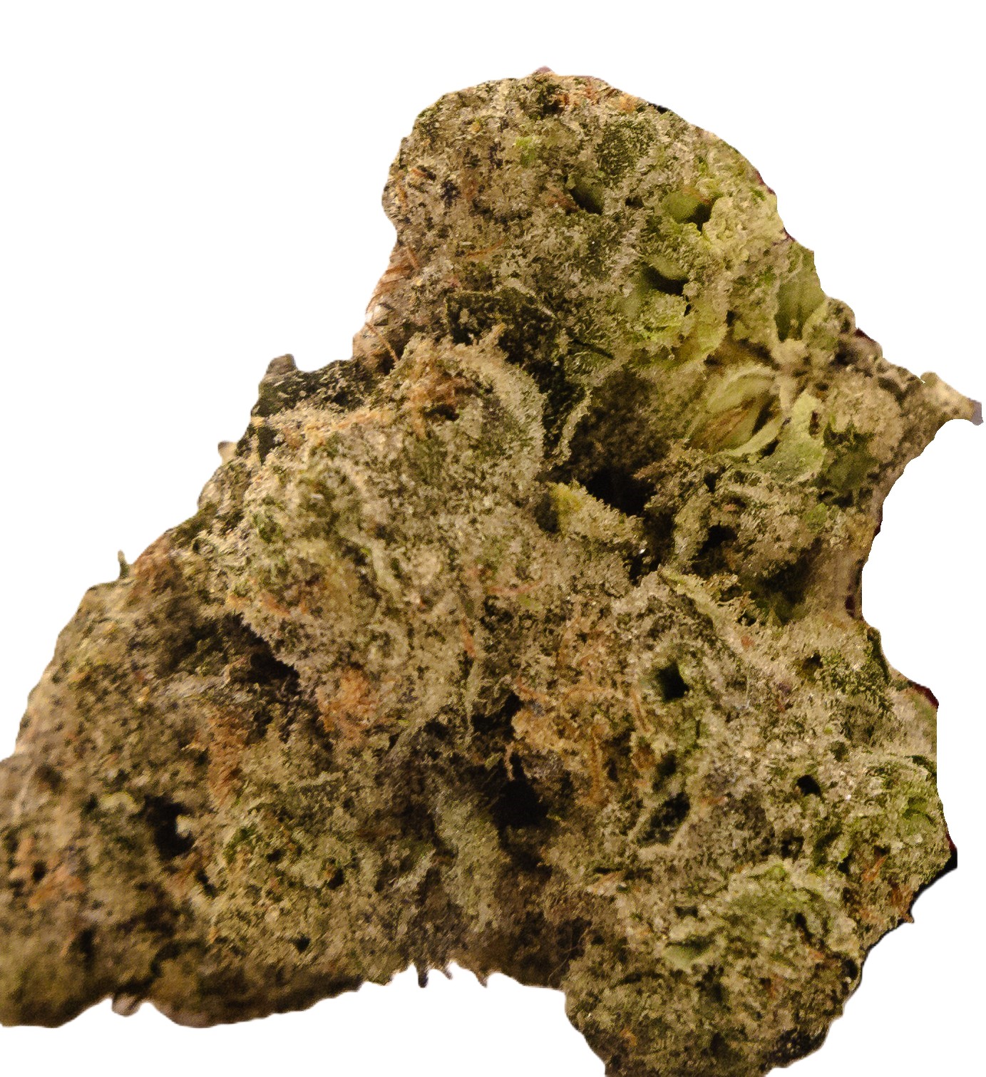Photograph of product: Frosted Cherry |  | Fresh Packed - 28g
