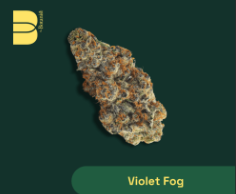 Photograph of product: Botanist - Violet Fog 3.5g Flower