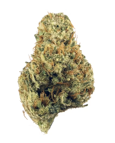 Photograph of product: Hibernate Flower - 1g