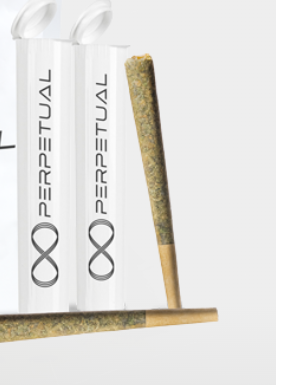 Photograph of product: Cookies N Cream Preroll