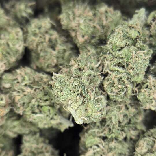 Photograph of product: Golden Goat by PDX Organix