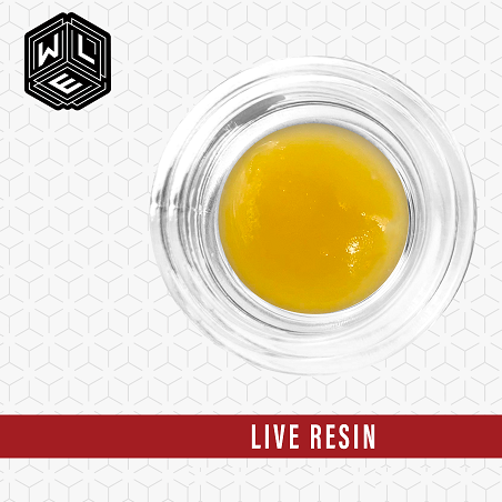 Photograph of product: Tropical Oranges Live Resin | 1g
